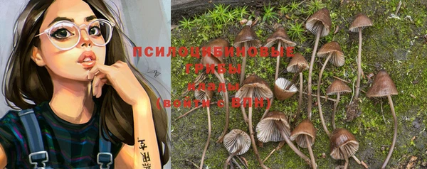 спиды Аркадак