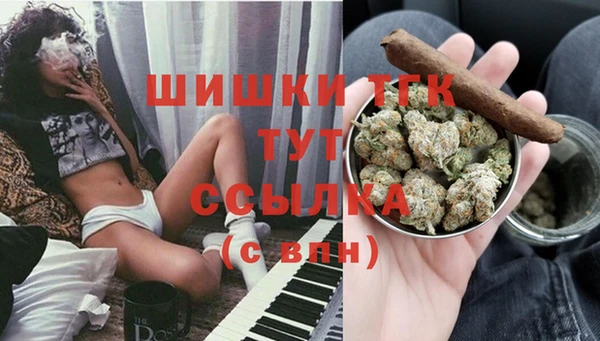 apvp Арсеньев