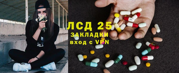 спиды Аркадак