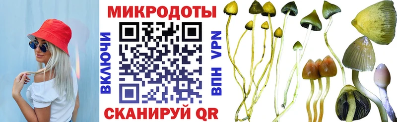 как найти закладки  Белоозёрский  omg сайт  Псилоцибиновые грибы прущие грибы 